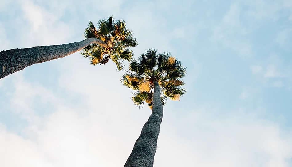 Whose Insurance Should Pay Your Car Damage?